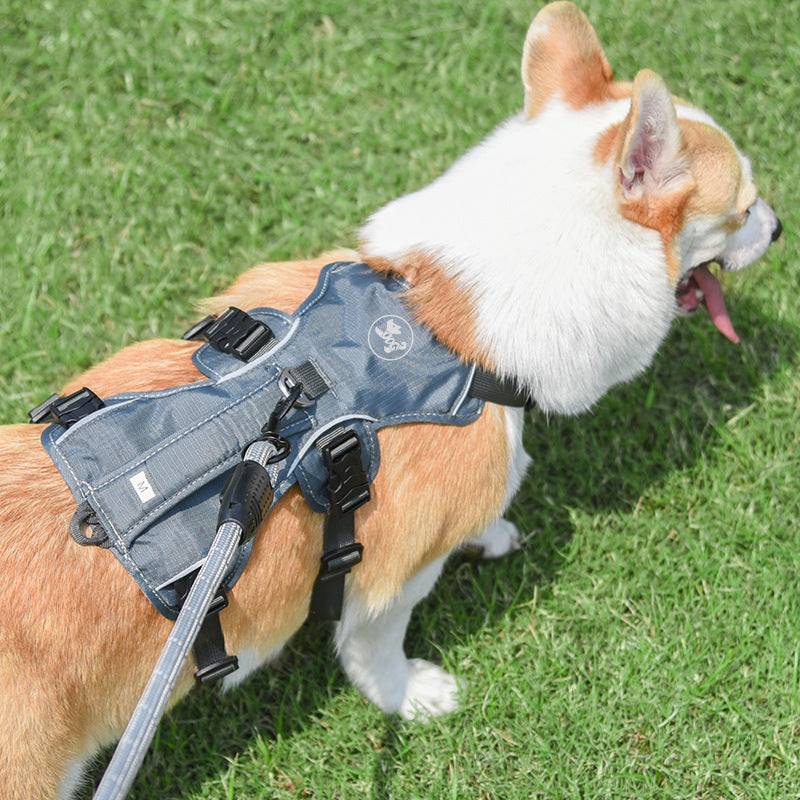 Pet Harness Dog Hand Holding Rope