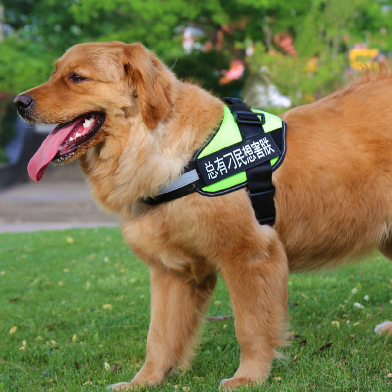 Pet Chest Harness  Dog Leash  Pet Supplies