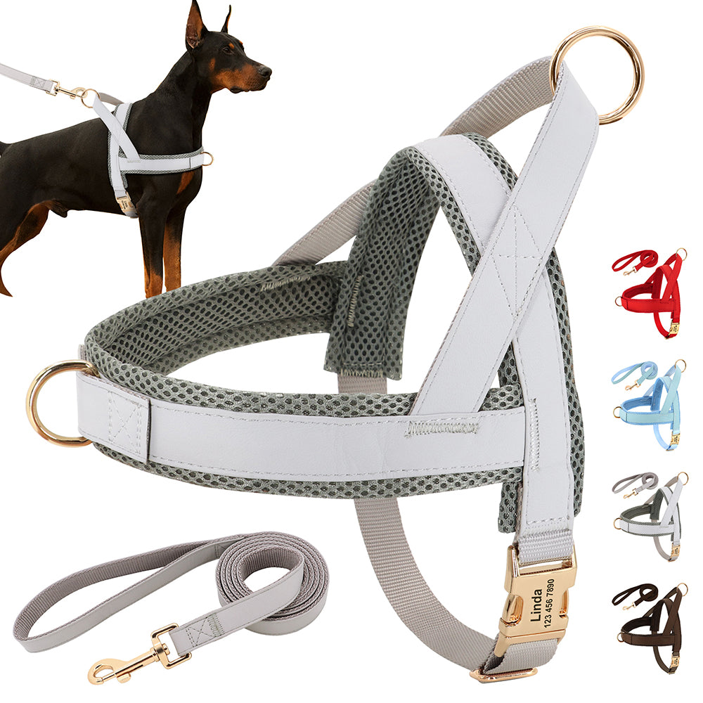 Personalized Dog Harness Leash Set