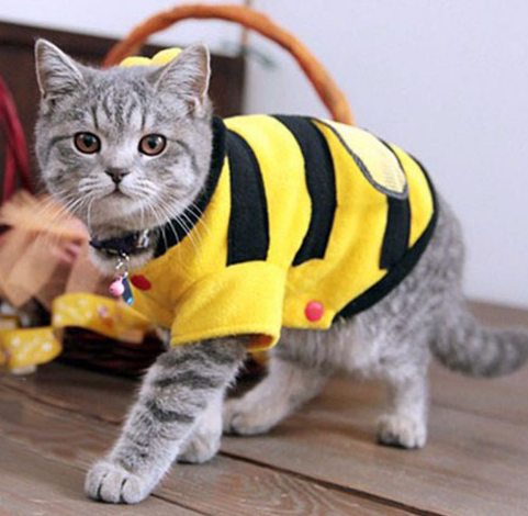 1Pcs Pet Clothes Cute Bees Dog Cat Clothes Soft Fleece Teddy Poodle Dog Clothes For Pets Product Supplies Accessories