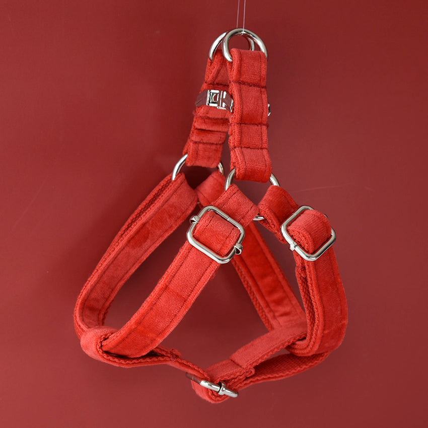 Red Flannel Gold Buckle Dog Harness Pet Supplies Pet Chest Harness